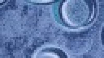 Výprodej kusových koberců, travních koberců nebo metráž.